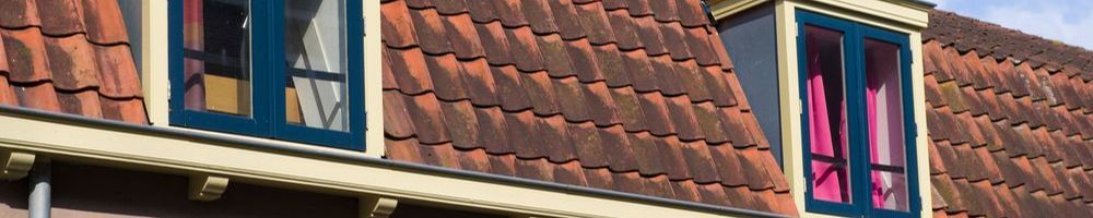 Dakrenovatie Teteringen
